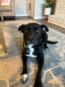 A Fond Farewell and an Exciting Welcome!