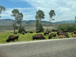 Badlands to the Tetons: An 11-Day Road Trip Through America's Great Northwest